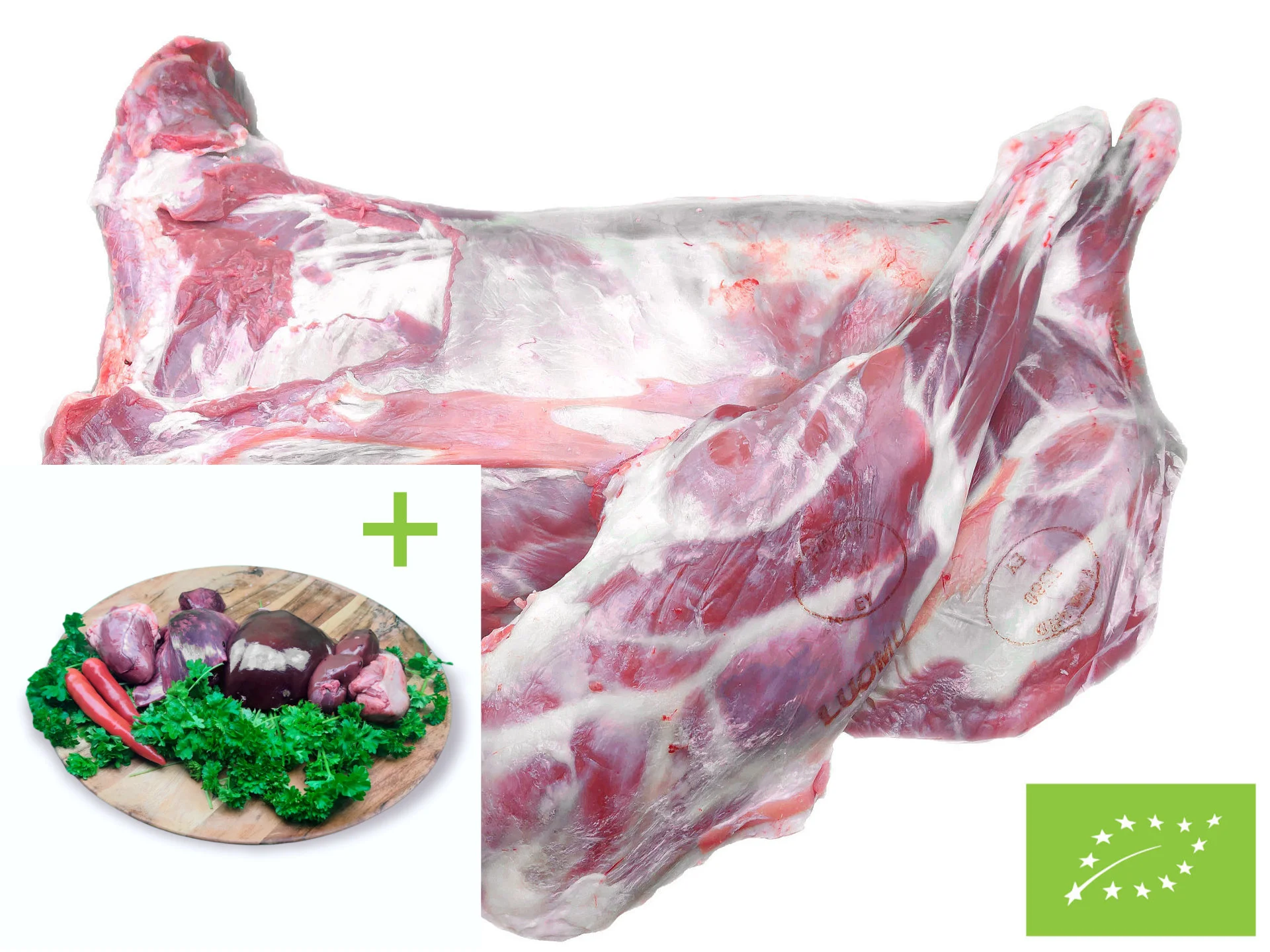 lampaanlihajasisaelimet